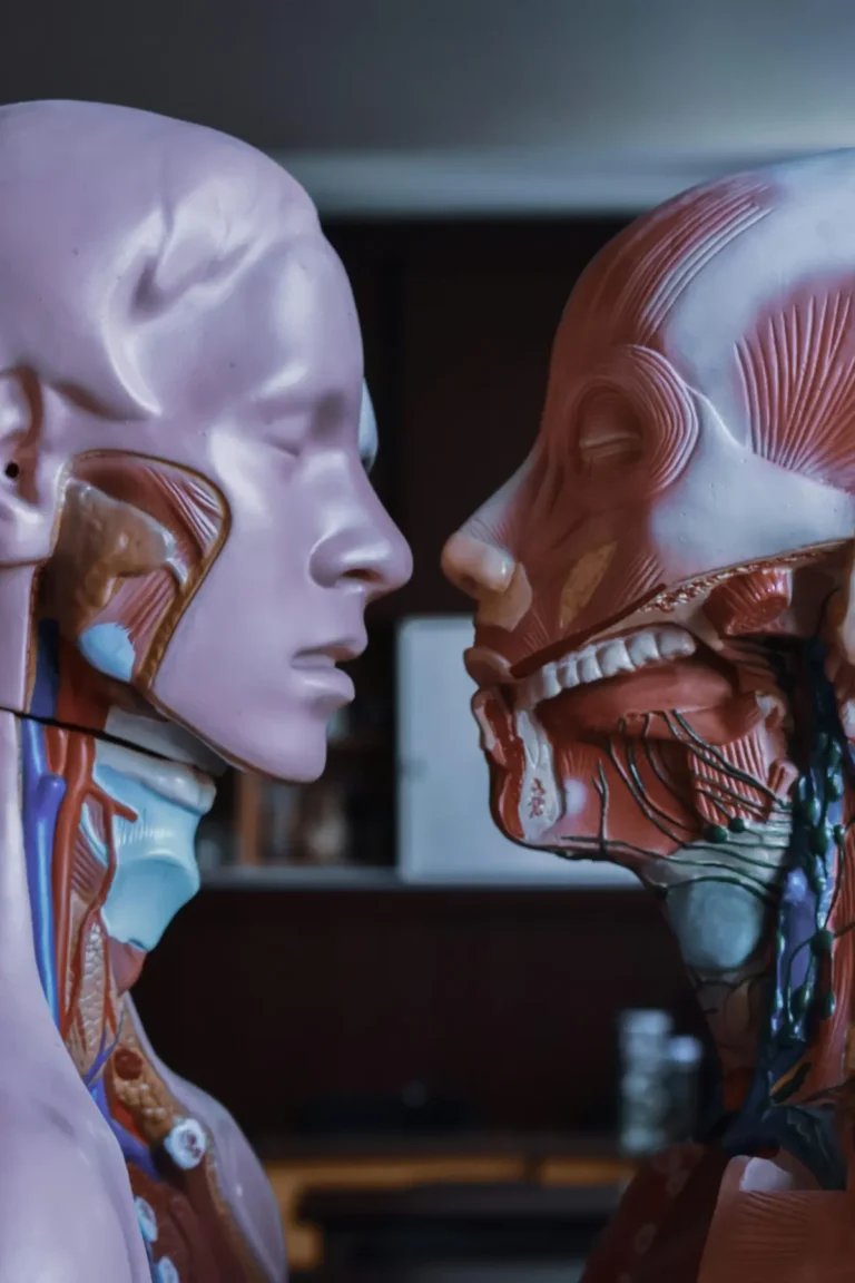 Two mannequin heads facing each other in dramatic lighting